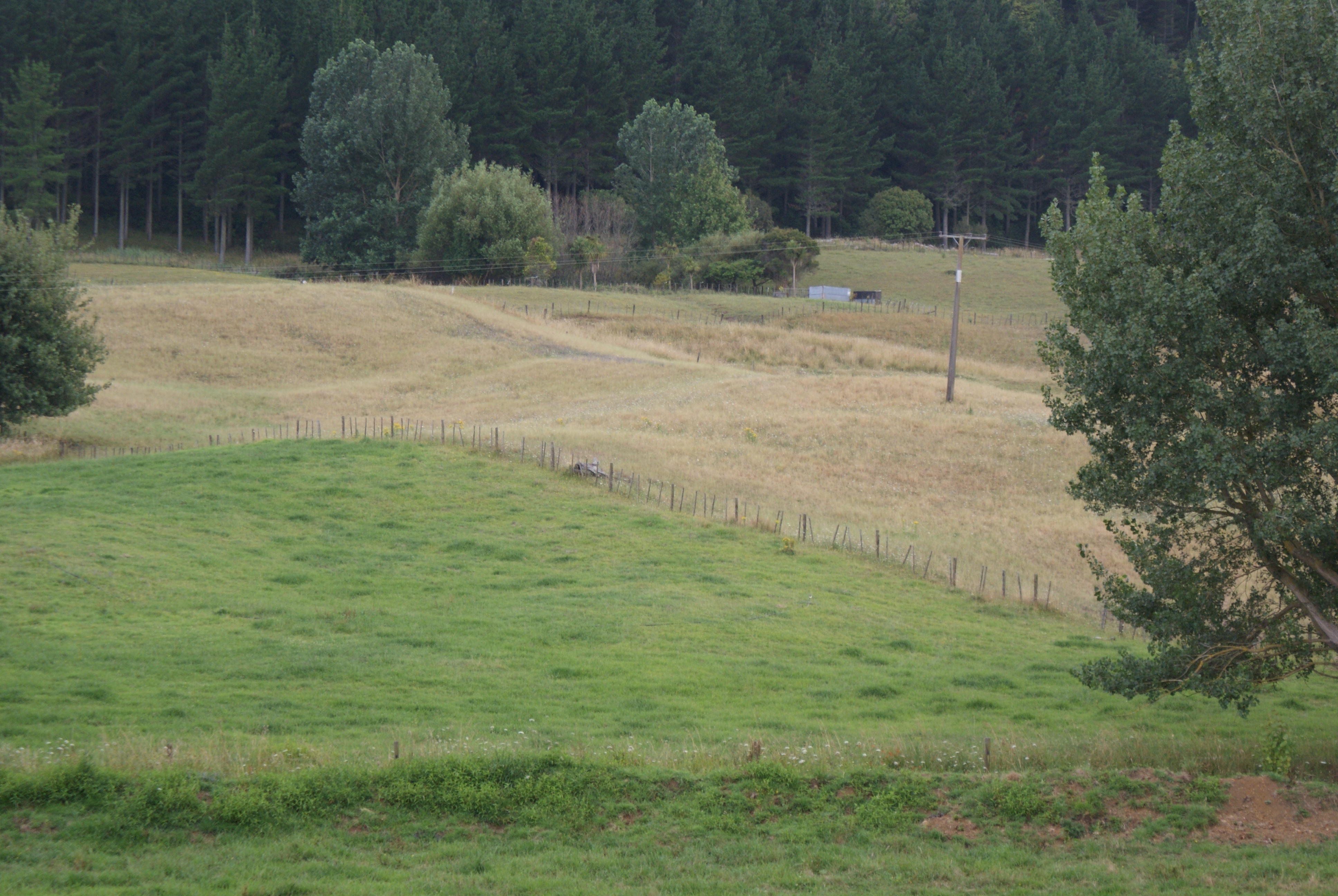 The difference between our irrigated and non-irrigated land.