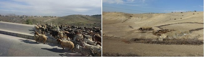 BF Middle East combined2 Feb18