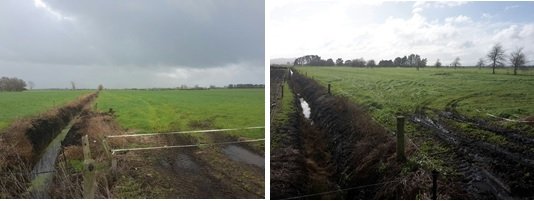 BF drainage3 Jul18.jpg